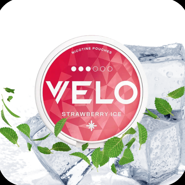 Velo Packung mit Minzblättern und Eis